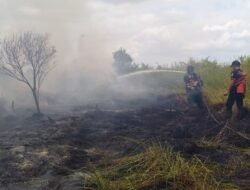 Pemadaman Karhutla di Palangka Raya terkendala Sumber Air, BPBD Lakukan hal Ini