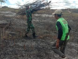 TMMD ke 119 Kodim 1013/Mtw Khusus Pembukaan Lahan dan Hanpangan Mencapai 25 Persen