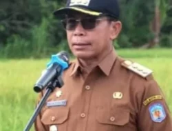 Pemkab Mura Gelar Kegiatan Panen Padi Perdana di Kecamatan Murung
