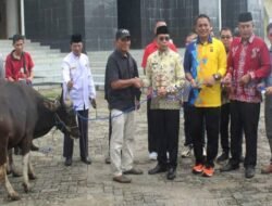 Pemkab Murung Raya Serahkan Hewan Kurban ke Masjid dan Musola