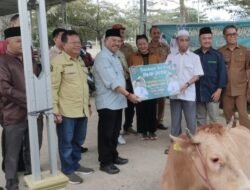 Pemkab Murung Raya Terima Hewan Kurban Dari PemProv Kalimantan Tengah