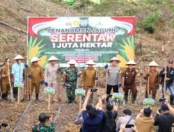 Pj Bupati Mura Hermon Bersama Forkopimda Laksanakan Penanaman Jagung Serentak