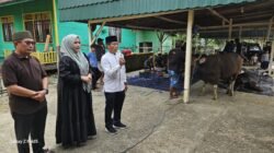 DPRD Murung Raya Salurkan Daging Kurban ke Masyarakat