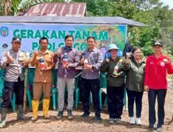 Pemkab Mura Targetkan Peningkatan Signifikan Produksi Padi di Batura