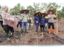 Pejabat Murung Raya Hadir Lengkap, Perkuat Komitmen Peningkatan Produksi Jagung Daerah