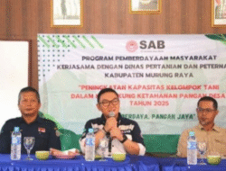 Kolaborasi Distanik Mura-PT SAB, Model Baru Ketahanan Pangan Lokal