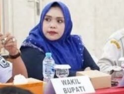 Dukungan Legislatif Kuat, Wakil Ketua I DPRD Dina Maulidah Kawal Iklim Investasi Pro-Rakyat di Murung Raya