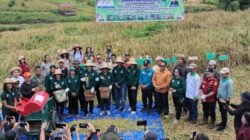 Pemkab Mura Targetkan Sertifikasi Varietas Padi Gogo Unggul Lokal pada 2027