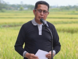 Rejikinoor Apresiasi Langkah Strategis Distanik Mura Uji Varietas Padi Gogo